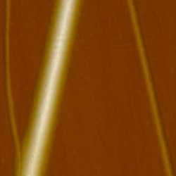 Si nanowire on glass 