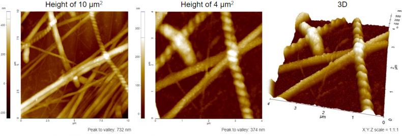 Collagen_fibrils