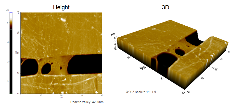 Suspended single-layer Graphene