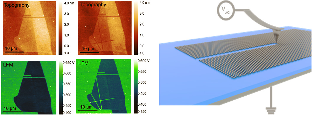 Topography images