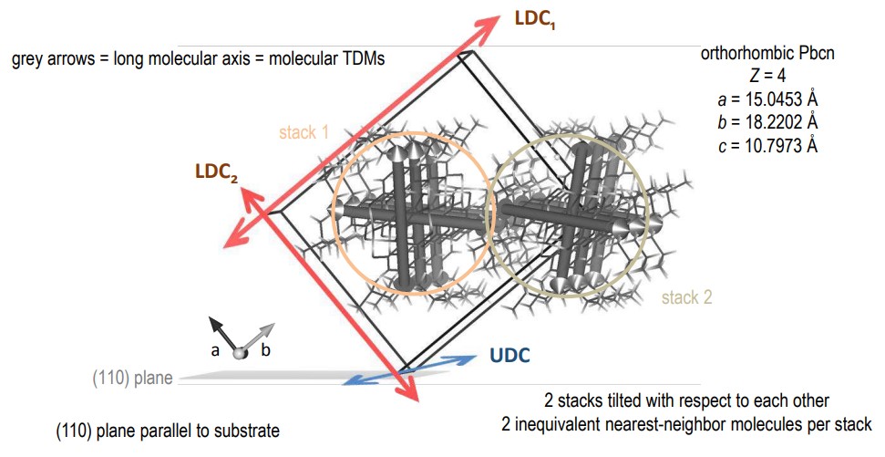 app25_fig02-fix.jpg