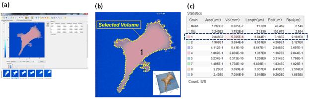 15-live-cell-volume-measurement-of-SICM-2