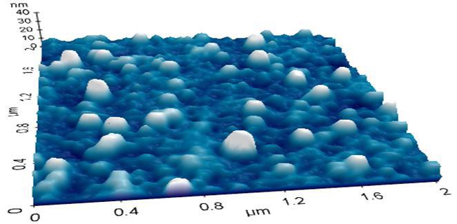 liposome2