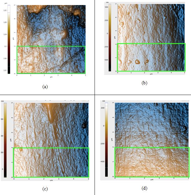 161223-afm-image-hair-topography