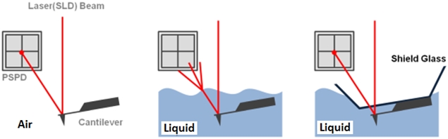 afm-feedback-mechanism