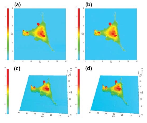 Mechanical properties figure3