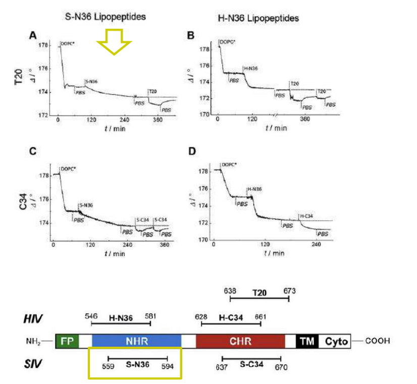 app28 fig28