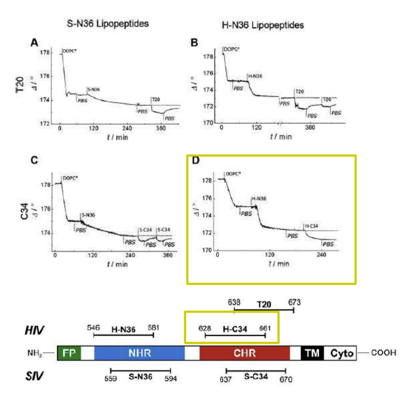 app28 fig31