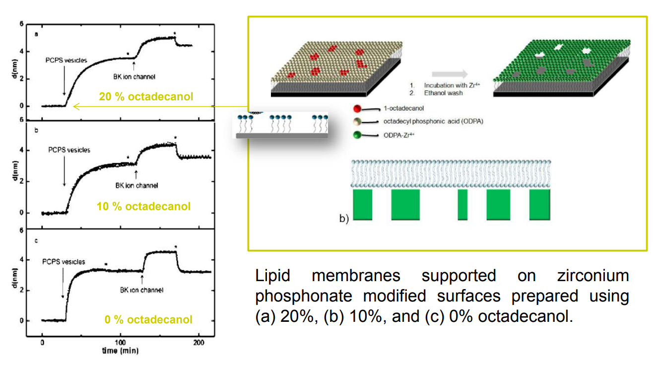 app28 fig33