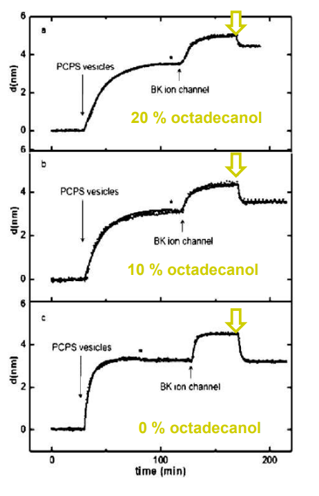 app28 fig36