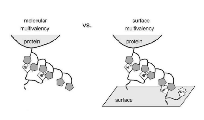 app28 fig38