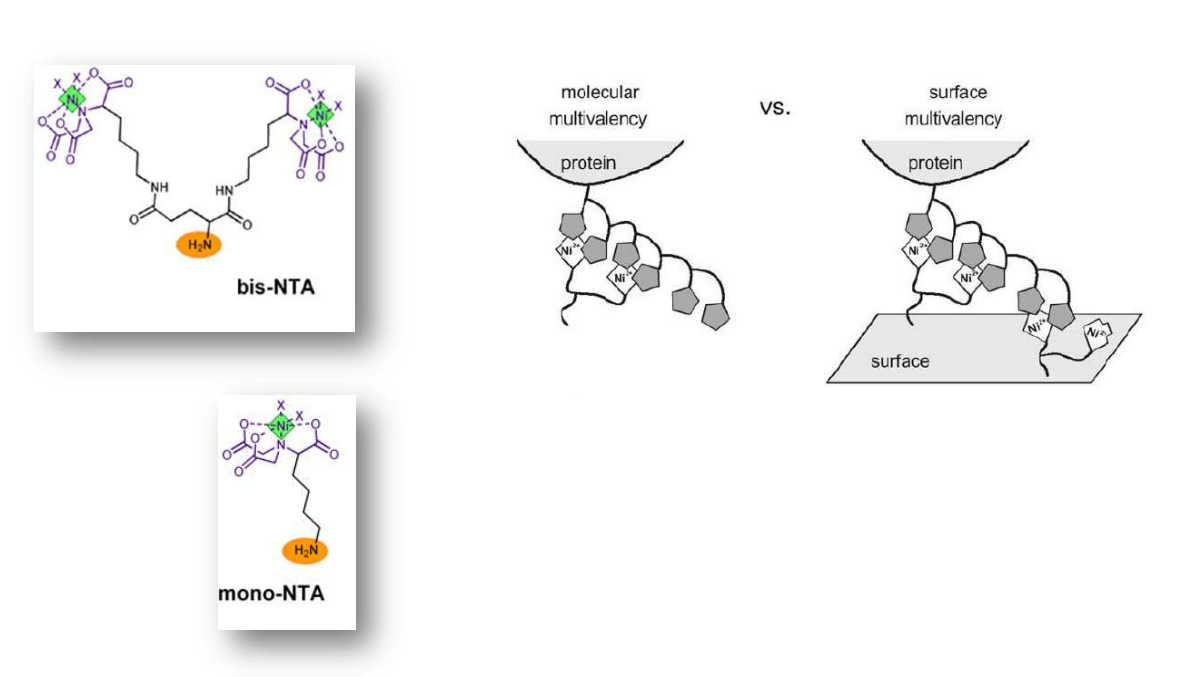 app28 fig40