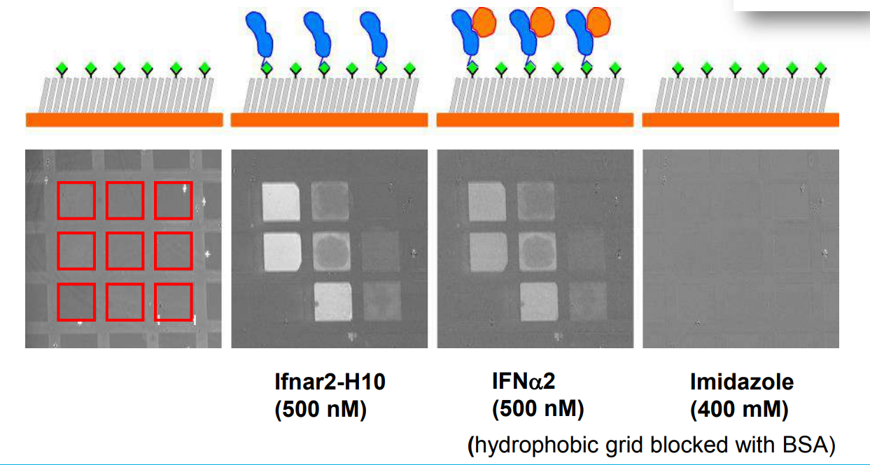 app28 fig43