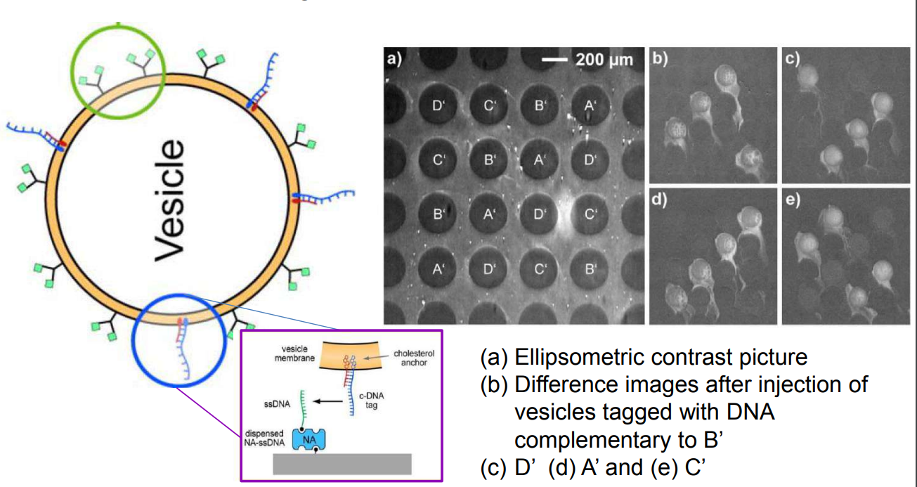 app28 fig50