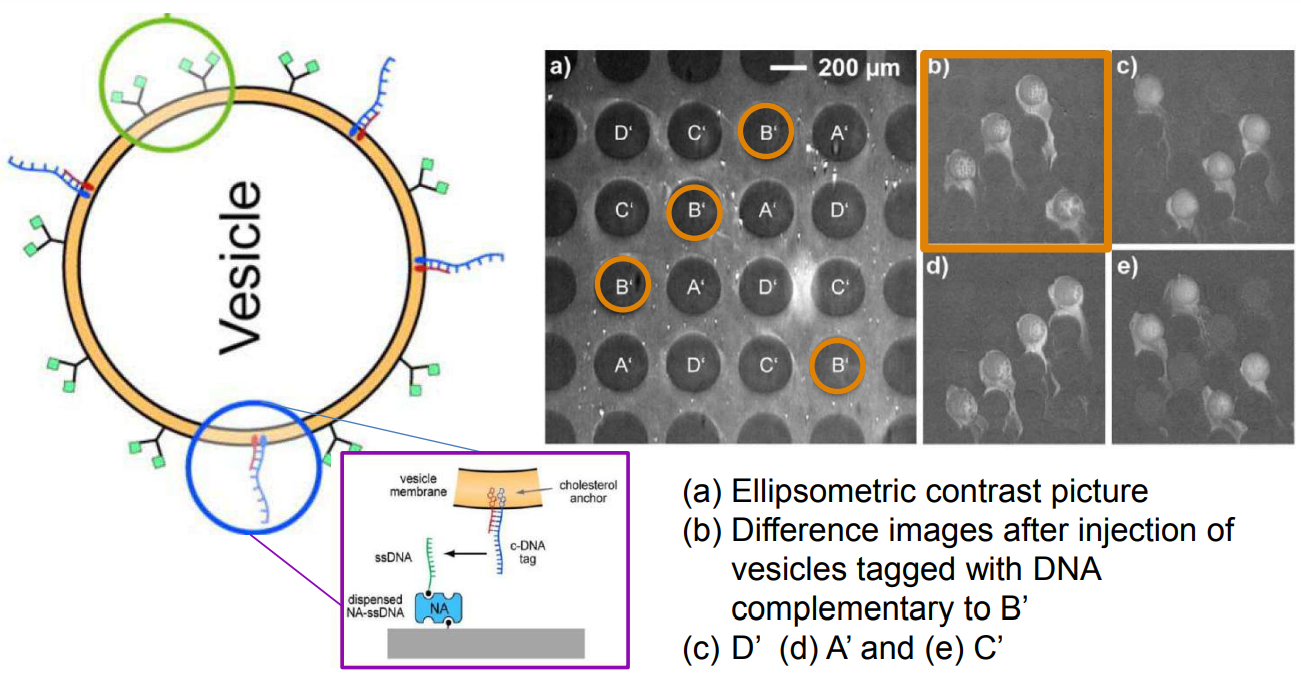 app28 fig51