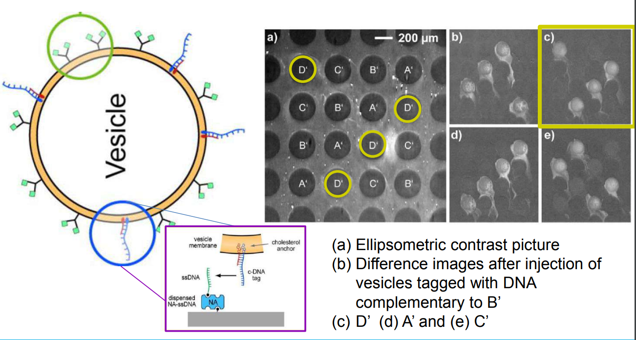 app28 fig52