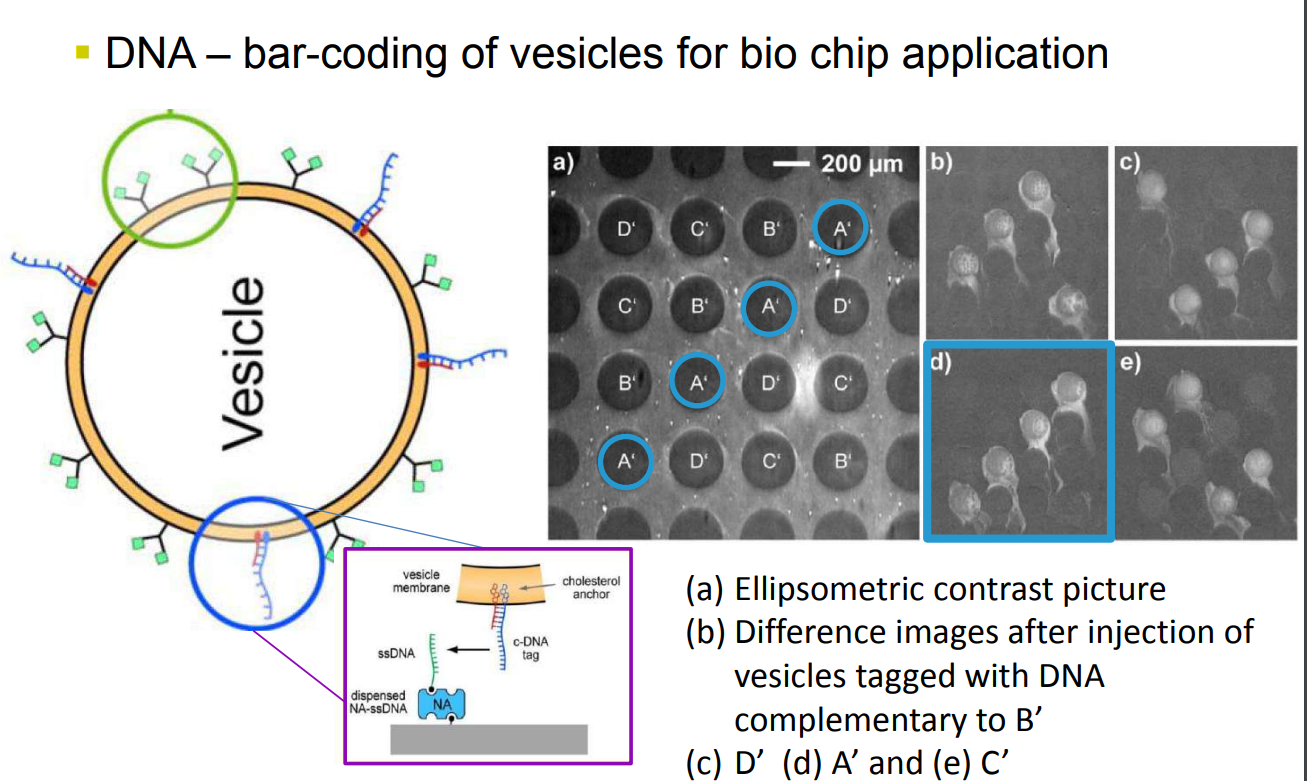 app28 fig53