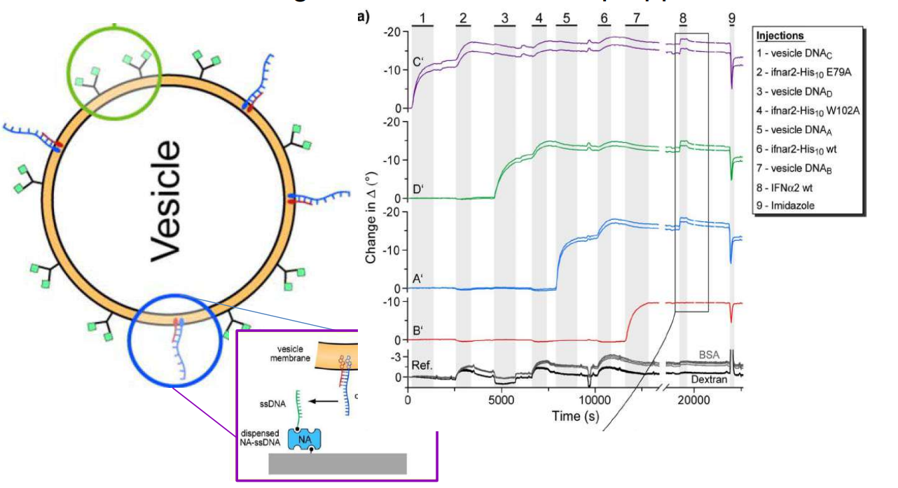 app28 fig55