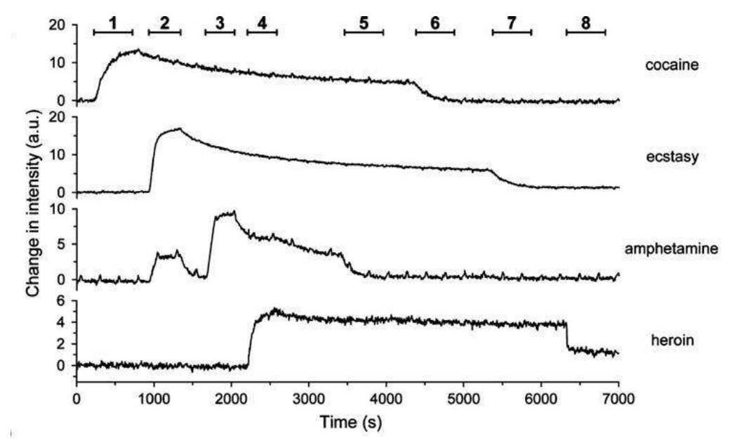 app28 fig61