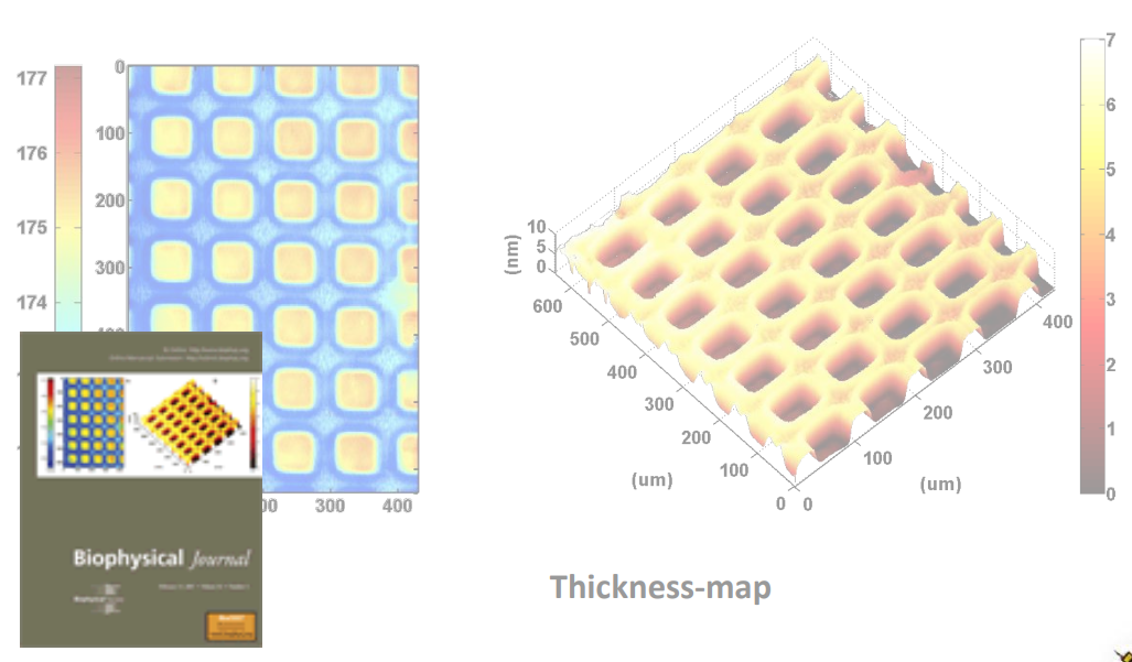 app28 fig66