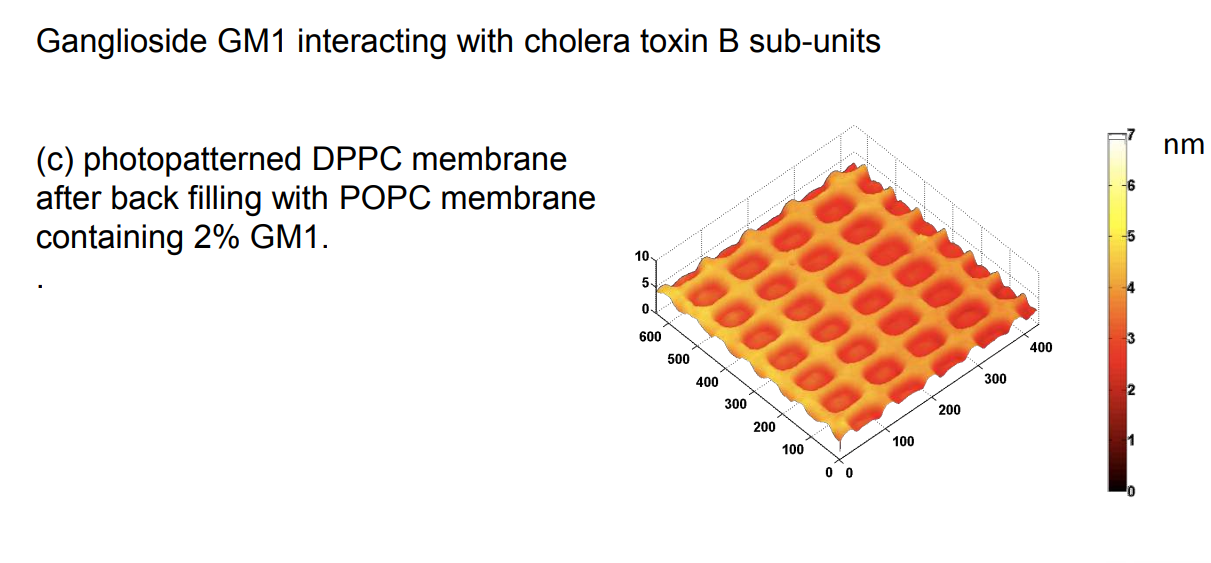 app28 fig69