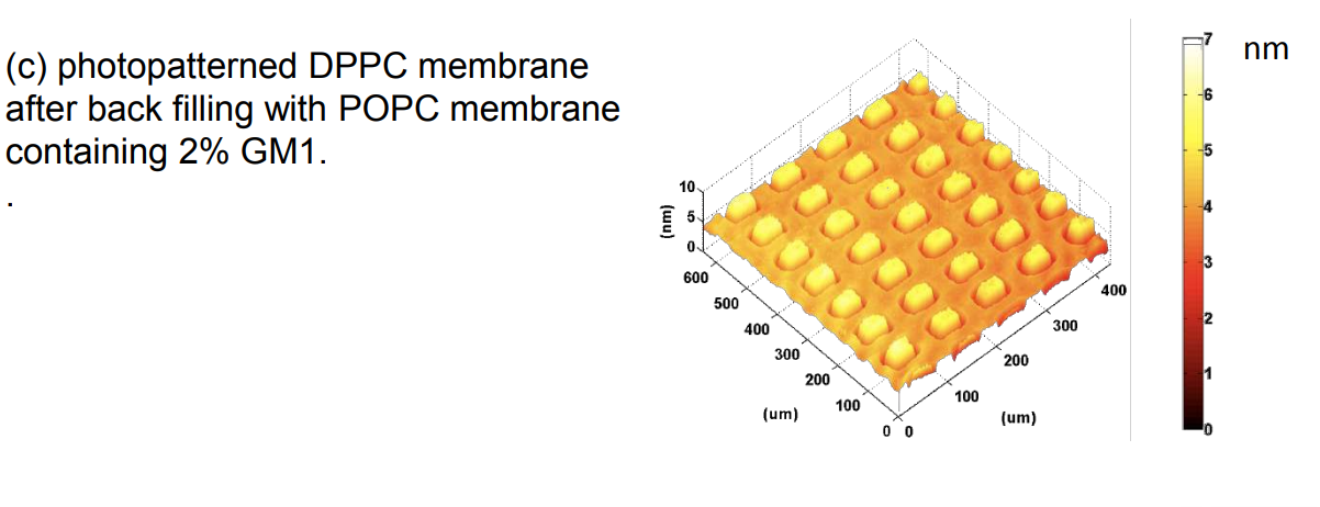 app28 fig70