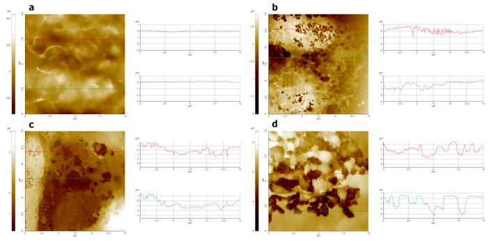 app37 fig03