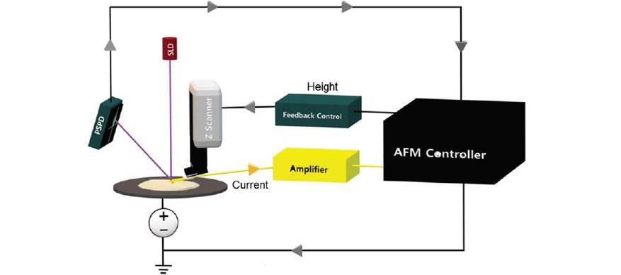 c afm 1