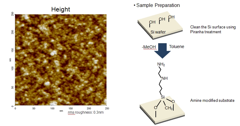 AEAPDES Self-Assembly monolayer 2