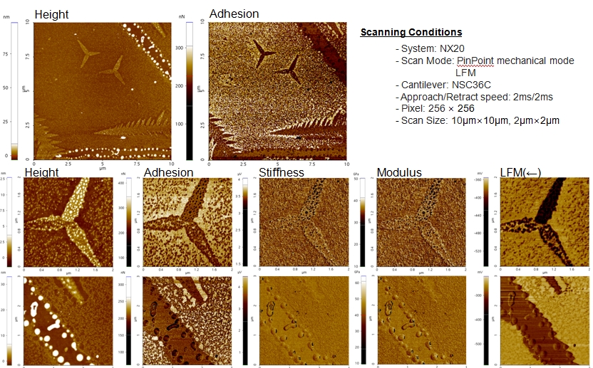 MoS2 on SiO2 2