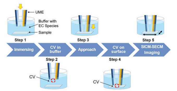 SICM-SECM imaging process