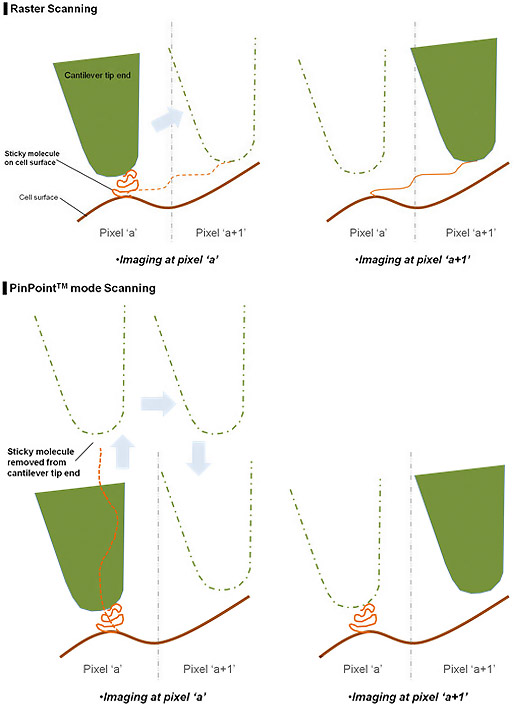 raster-vs-pinpoint