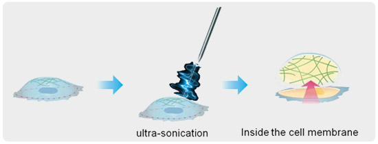 unroofing-technique-for-sub-cellular-molecule-imaging-2