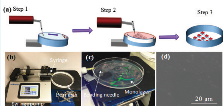 nanostructure1