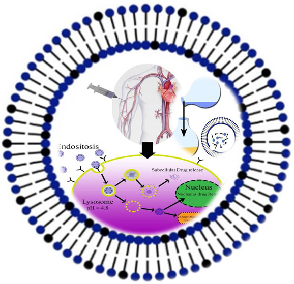 nano-niosomes