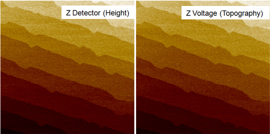 Z-detector-img-nx2