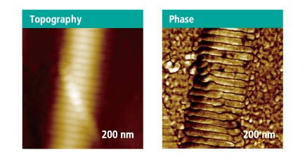 softsample-collagen-fibril