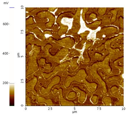 PS-b-PEO-adhesion-force