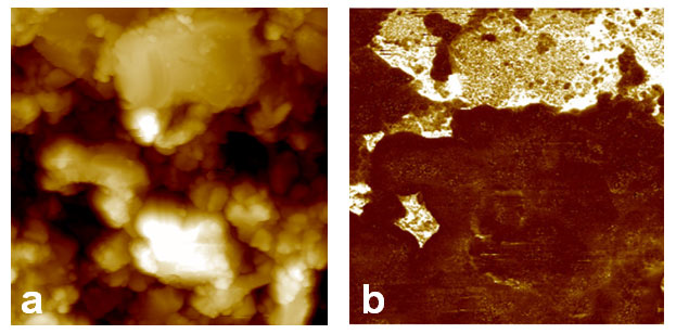 efm-fuel-cell